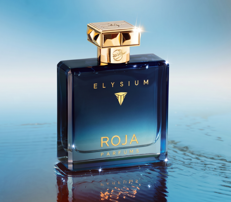 roja elysium parfum pour homme 100ml